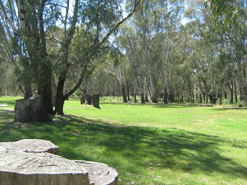 Rivergum Holiday Park - Tweed Heads Accommodation 2