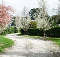 Robin Hill Manor - rambling retreat  tennis court - Tweed Heads Accommodation