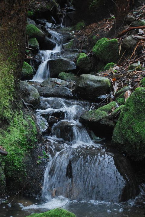 Rocky Creek Art Garden B&B - Tweed Heads Accommodation 3