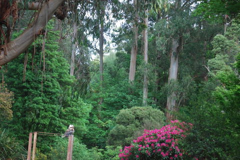 Rocky Creek Art Garden B&B - Tweed Heads Accommodation 2