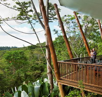 Rose Gums Wilderness Retreat - Tweed Heads Accommodation