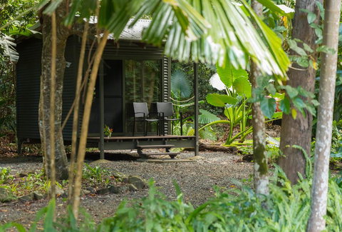 Safari Lodge - Tweed Heads Accommodation 3