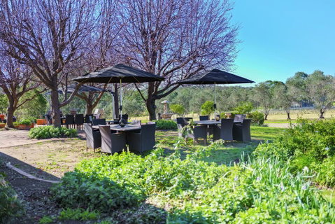 Sandalyn Estate Hunter Valley - Tweed Heads Accommodation 3