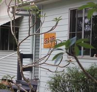 Sea Dip at Iluka - Tweed Heads Accommodation