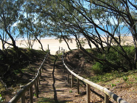 SeaEagles Beach Resort - Tweed Heads Accommodation 2