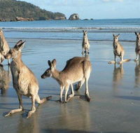 Seaforth Holiday Units - Tweed Heads Accommodation