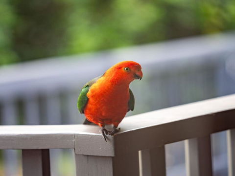 Seven Smiles - Riverside Location And Ocean Views - Tweed Heads Accommodation 1