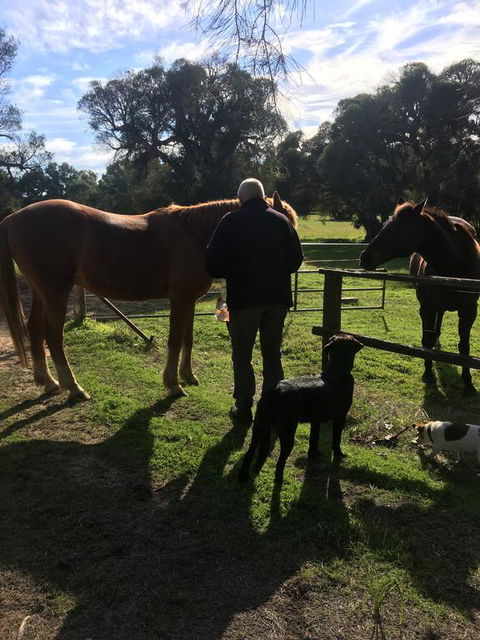 Shetland Park Chalets - Tweed Heads Accommodation 2