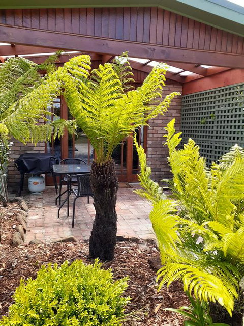 Sleepy Hollow Hideout (Hidout 2) - Tweed Heads Accommodation 1