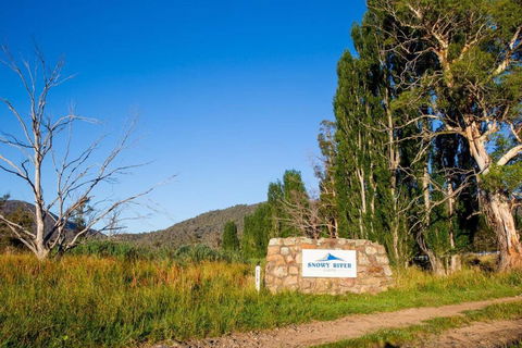 Snowy River Cabins - Tweed Heads Accommodation 3