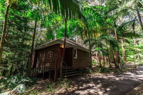 Songbirds Rainforest Retreat - Tweed Heads Accommodation 2
