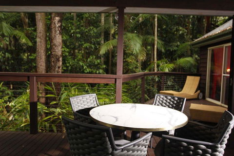 Songbirds Rainforest Retreat - Tweed Heads Accommodation 1