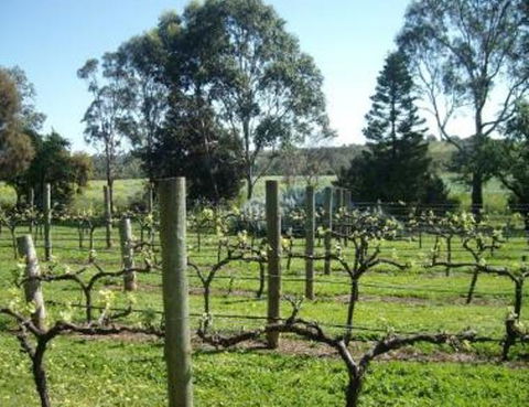 Southern Vales Bed & Breakfast - Tweed Heads Accommodation 1