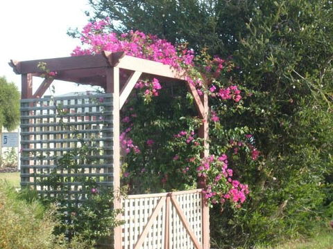 Southern Vales Bed & Breakfast - Tweed Heads Accommodation 3