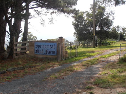 Springmead B&B - Tweed Heads Accommodation 2