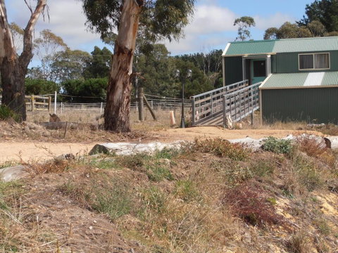 Springmead Rustic Cabin - Tweed Heads Accommodation 1