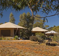 Squeakywindmill Boutique Tent BB - Tweed Heads Accommodation