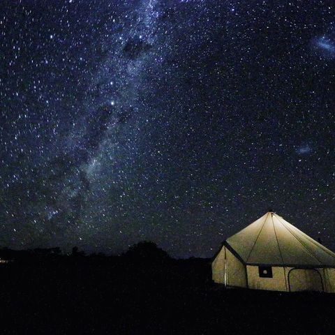Starfields Luxury Camping - Tweed Heads Accommodation 3