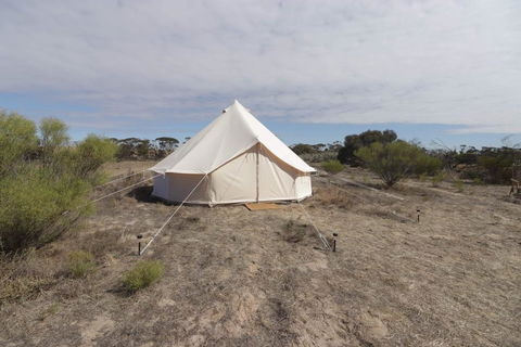Starfields Luxury Camping - Tweed Heads Accommodation 1