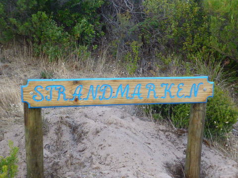 Strandmarken - Tweed Heads Accommodation 0