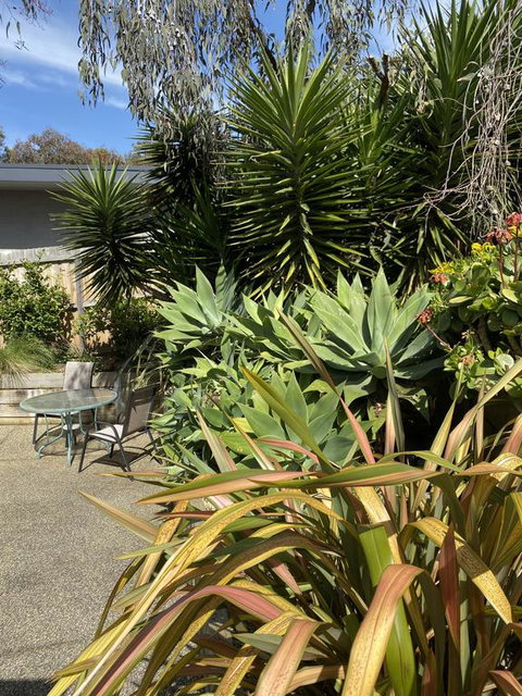 Surf Coast Haven - Tweed Heads Accommodation 3