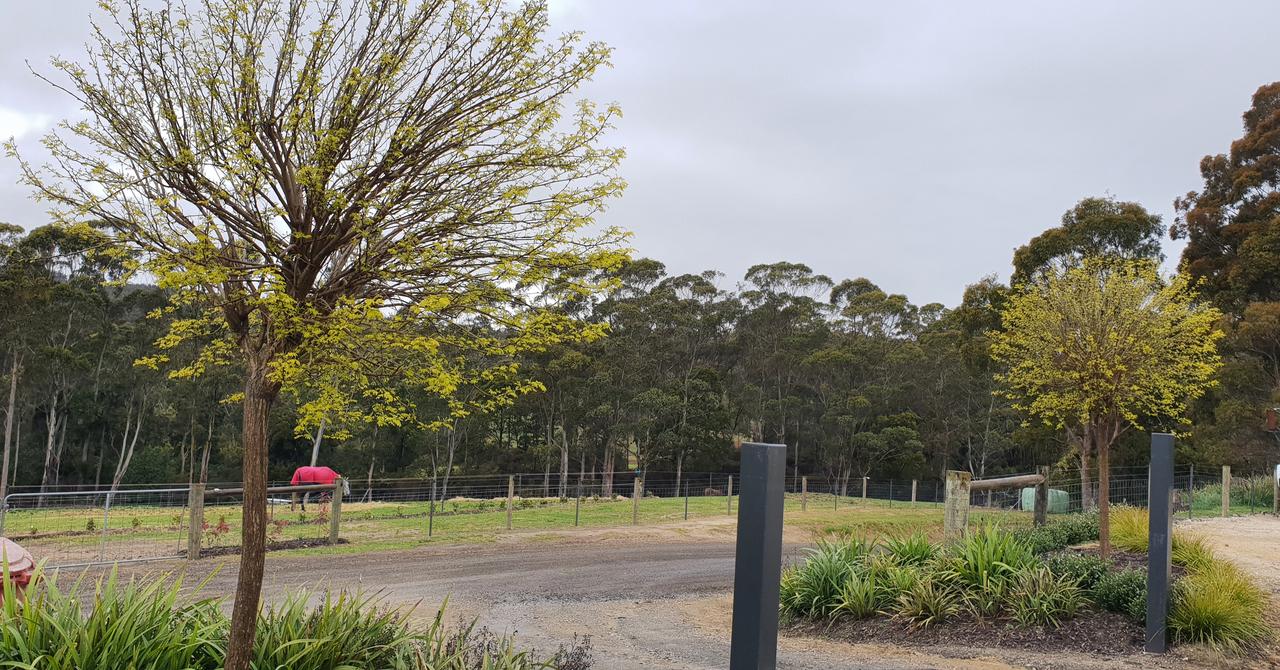 Golconda TAS Tweed Heads Accommodation