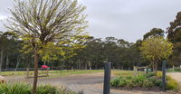 Book Lebrina Accommodation Vacations Tweed Heads Accommodation Tweed Heads Accommodation