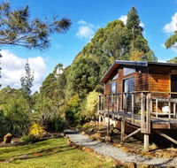 Southern Forest Accommodation - Tweed Heads Accommodation