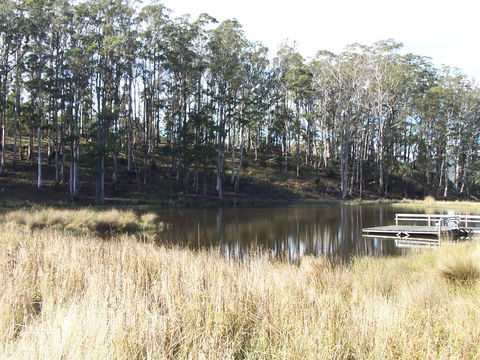 Quamby Pines Chalet - Tweed Heads Accommodation 14