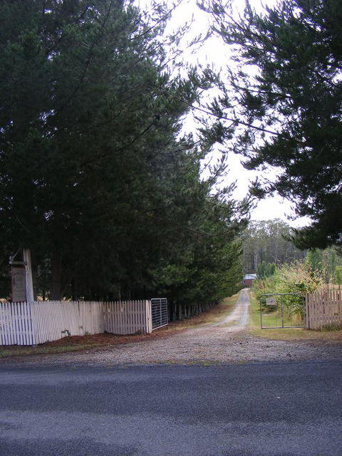 Quamby Pines Chalet - Tweed Heads Accommodation 2