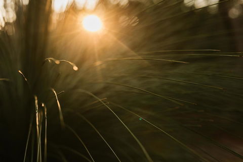 Bay Of Fires Bush Retreat - Tweed Heads Accommodation 26