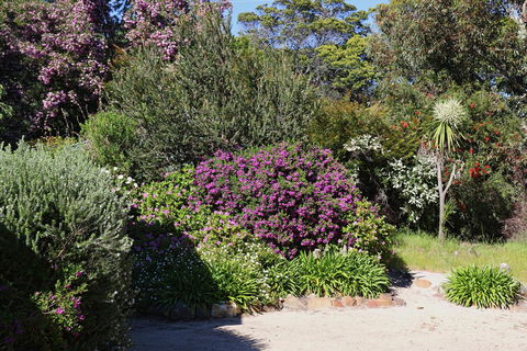 Hazards Beach House - Tweed Heads Accommodation 1