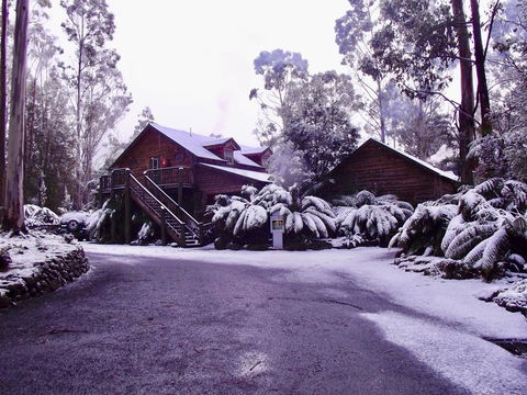 Lemonthyme Wilderness Retreat - Tweed Heads Accommodation 12