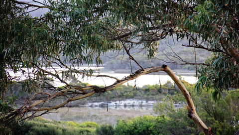 KINGFISHER COTTAGE Beachfront At The Binalong Bay - Tweed Heads Accommodation 17