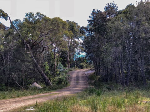 BAY OF FIRES ECO HUT Off Grid Experience At Binalong Bay - Tweed Heads Accommodation 12