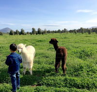 Taras Richmond Farmstay - Tweed Heads Accommodation