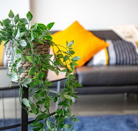 Brand New One/Two - Bed Room Apartment  Maribyrnong - Tweed Heads Accommodation