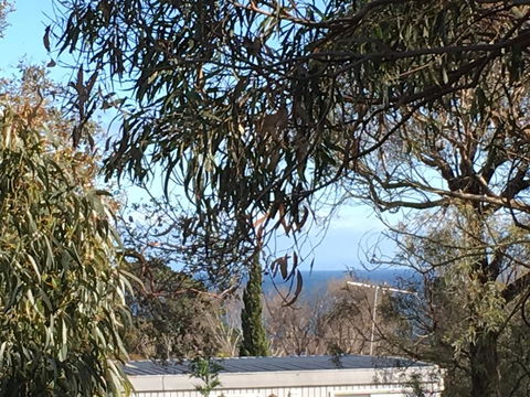 Kookas Retreat - Tweed Heads Accommodation 17