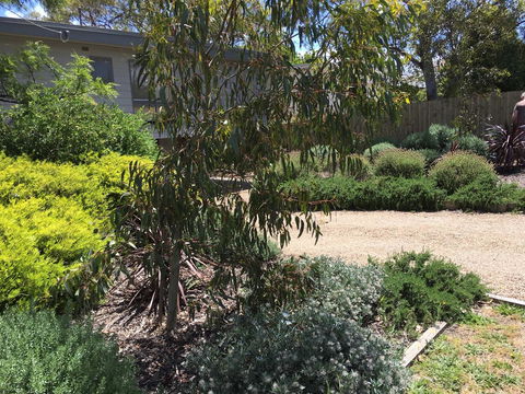 Kookas Retreat - Tweed Heads Accommodation 13