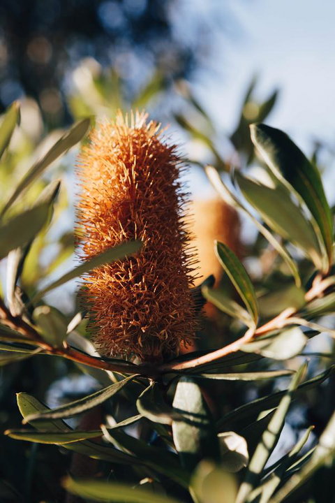 Dunkeld Studio Accommodation - Tweed Heads Accommodation 19