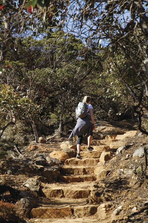 Dunkeld Studio Accommodation - Tweed Heads Accommodation 12