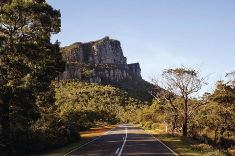 Dunkeld Studio Accommodation - Tweed Heads Accommodation 14