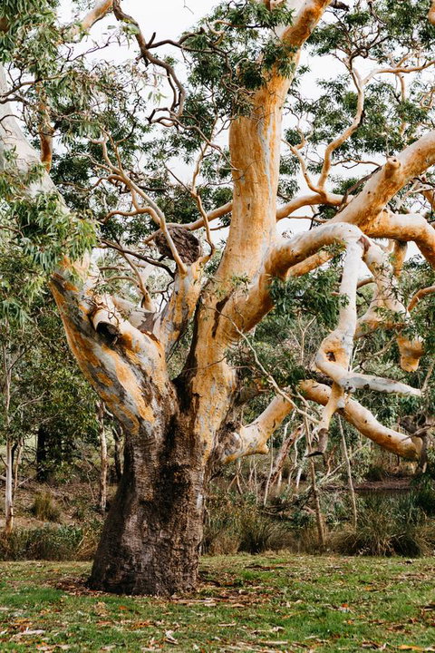 Dunkeld Studio Accommodation - Tweed Heads Accommodation 22