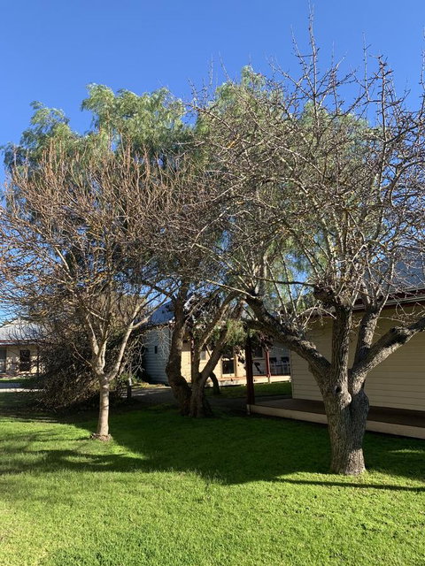 Dunkeld Studio Accommodation - Tweed Heads Accommodation 4