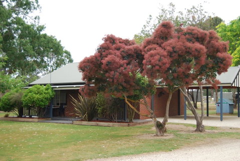 Greenvale Holiday Units - Tweed Heads Accommodation 9