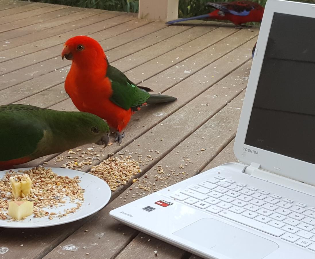  Tweed Heads Accommodation