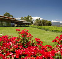 Balgownie Estate Vineyard Resort  Spa - Tweed Heads Accommodation
