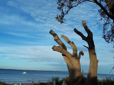 Apartments In Phillip Island Towers - Block C - Tweed Heads Accommodation 10