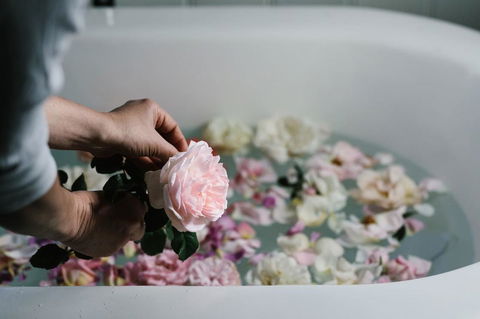 Acre Of Roses - Tweed Heads Accommodation 7