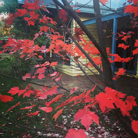 The Orchard House - Tweed Heads Accommodation 27